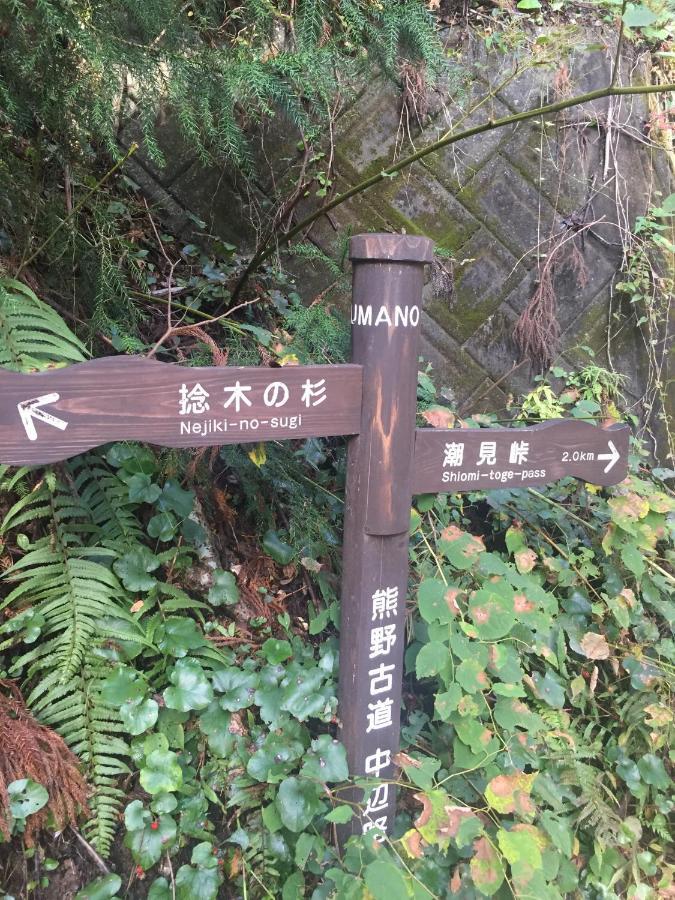 Kumano Winery Guest House Tanabe Zewnętrze zdjęcie